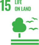 Goal 6